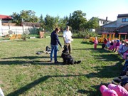 Sorbon - pes fotbalista